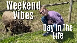 Thumbnail: Real-Life Weekend:  A Typical Day of Fun and Learning for Teens