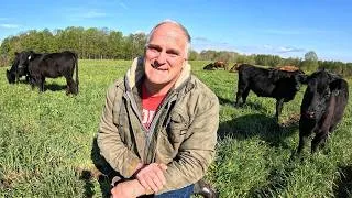 Thumbnail: Training a New Bull (and other wet weather jobs)