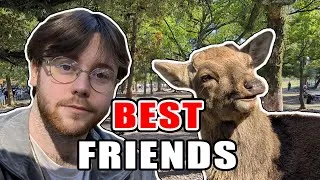 Thumbnail: Japan's Famous Deer Park