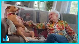 Thumbnail: When Your Dogs Realize Grandma’s House Is Basically Paradise 😁🏡