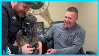 Thumbnail: 🐾 When A K9 Dog Got His First Day On The Job! 😂 Funny Dog Videos