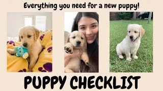 Thumbnail: PUPPY CHECKLIST | Everything I bought for a new puppy