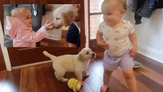 Thumbnail: JUNIOR MEETS HIS HUMAN FRIENDS | Golden Retriever Puppy