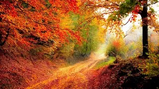 Thumbnail: ❤ Beautiful piano music, Romantic music for your heart, Background music for relaxation