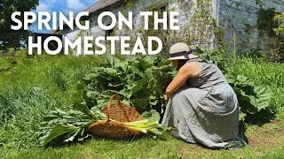 Thumbnail: Preserving the Spring Harvest