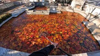 Thumbnail: POV Satisfying Pool Clean Up with Lots of Leaves!