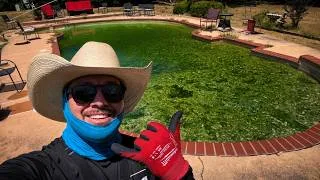 Thumbnail: How Much Should I Charge For This Disgusting Pool Clean Up??