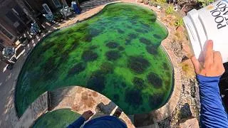 Thumbnail: The dreaded black algae and I make it my b***h!!!!!