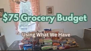 Thumbnail: Keeping the grocery bill low while we go through a job transition.