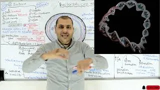 Thumbnail: Microbiology | Bacterial cell structure | DNA, Ribosome, Cell wall, Cell membrane