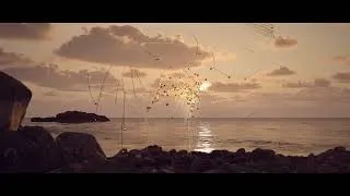 Thumbnail: Digitonal - For The Birds (Official Video)