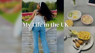 Thumbnail: Living alone diaries | Days in my life in the UK | 🌷tulips farm | morning routine | Introvert