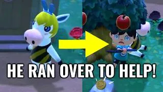 Thumbnail: New Horizons Moments #43 (Animal Crossing ACNH)