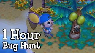 Thumbnail: ACCF - 1 Hour of Bug Hunting 2026 (Animal Crossing: City Folk Gameplay)