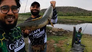 Thumbnail: Fishaholic Giant Hunt Reel का असली टेस्ट | Snakehead Fishing में कैसा रहा Performance? 🔥