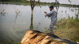Thumbnail: Indian Eel Fishing: Nayi Jagah Ka Jadoo || Baam fishing || indian eel fishing in new sport