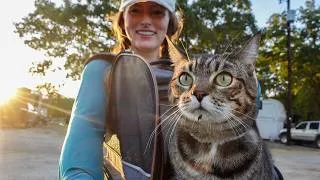 Thumbnail: VANLIFE with My CAT | Making Stained Glass Art & Cozy RV Park Stay