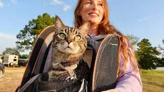 Thumbnail: When Vanlife Isn't an Adventure... | Surviving Texas Heat with my Cat