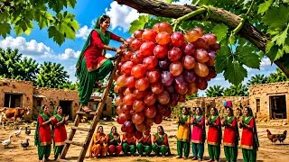 Thumbnail: Giant Orange Grapes Festival In Village#grapes #village 