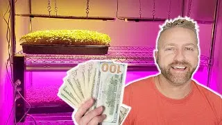 Thumbnail: Save Money and Make Money Growing Your Own MicroGreens - Become a Prepper that can GROW FOOD INSIDE!