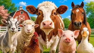 Thumbnail: Farm Animal Sounds for Kids | Learn 30 Animals on the Farm