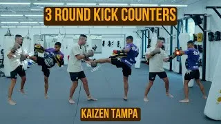 Thumbnail: 3 Counters For The Round Kick || Kaizen Tampa