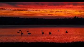 Thumbnail: LOHDUTUS -  Consolation by JALAS CHAMBER. Juhani Numminen, cond. Kalevi Kiviniemi, organ.