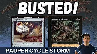 Thumbnail: PAGE IS BROKEN! Pauper Cycle storm is the highest power combo in the format if you can beat the hate