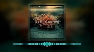 Thumbnail: KALUMA - Coral Equilibrium