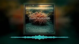 Thumbnail: KALUMA - Polyp Bloom