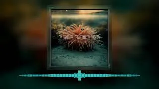 Thumbnail: KALUMA - Reef Stasis