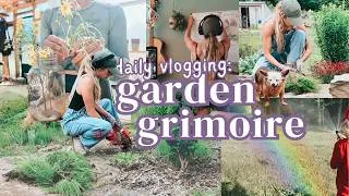 Thumbnail: magical thinking, losing life’s spark & dragonfly messages | garden vlog 
