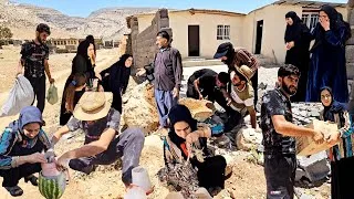 Thumbnail: A look at the unique and fascinating lifestyle of the Kamar family, full of unexpected events.