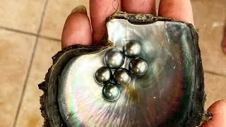 Thumbnail: Diving for the Most Expensive Pearls on Earth