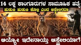 Thumbnail: ಆಸ್ಟ್ರೇಲಿಯಾದ ಕಾಂಗರೂ ಬೇಟೆಯ ಕರಾಳ ಸತ್ಯ Why Does Australia Kill Its Own Kangaroos