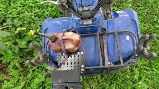 Thumbnail: Chopping up the calabash mango tree with Elon 4K