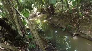 Thumbnail: I found a mythical river deeper in the jungle.