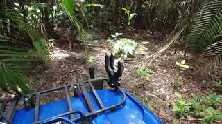Thumbnail: Deep in the jungle with Elon and the Yamaha grizzly.