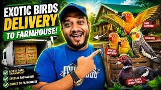 Thumbnail: We Took These Beautiful Exotic Birds to Their New Home! 🦜🔥 | Karnataka Aquarium