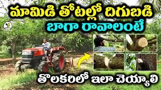 Thumbnail: మామిడి దిగుబడి పెంచే తొలకరి యాజమాన్యం || Early Monsoon Mango Management || Karshaka Mitra #agri