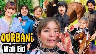 Thumbnail: Eid Ul Adha 2026 /Qurbni dekh kar Omer dar gaya🫣Anaya ro pari😭