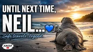 Thumbnail: Neil the Seal Has Returned to the Ocean... Until We Meet Again 🦭💙