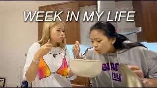Thumbnail: WEEK IN MY LIFE (world cup, photo shoots, cooking nights etc)