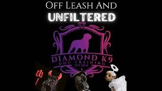 Thumbnail: After A Dog Training Program—Are All These Go Home Protocols Really That Important?