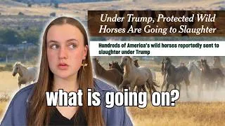 Thumbnail: Wild Horses are Going to Slaughter?