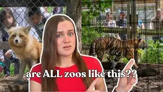 Thumbnail: Can a Zoo Be Ethical?