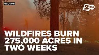 Thumbnail: Central Oregon wildfires scorch 275,000 acres in two weeks as Red Flag warnings loom
