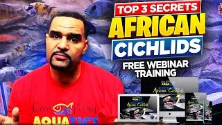 Thumbnail: Before You Buy African Cichlids, Watch This