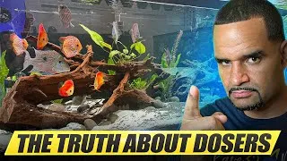 Thumbnail: Before You Buy an Aquarium Doser...Watch This!