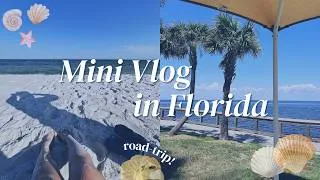 Thumbnail: Road Trip to Florida ☀️